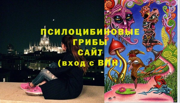 мяу мяу мука Абаза