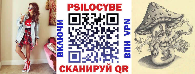 Псилоцибиновые грибы Psilocybe  Чегем 